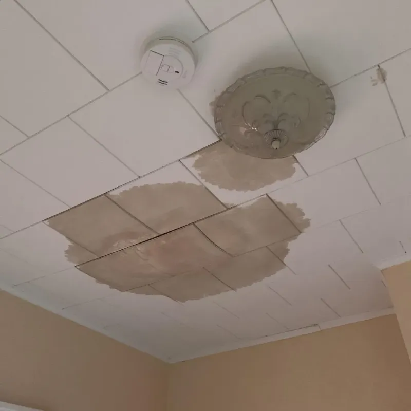 Ceiling Water Damage Repair in Irvington, KY