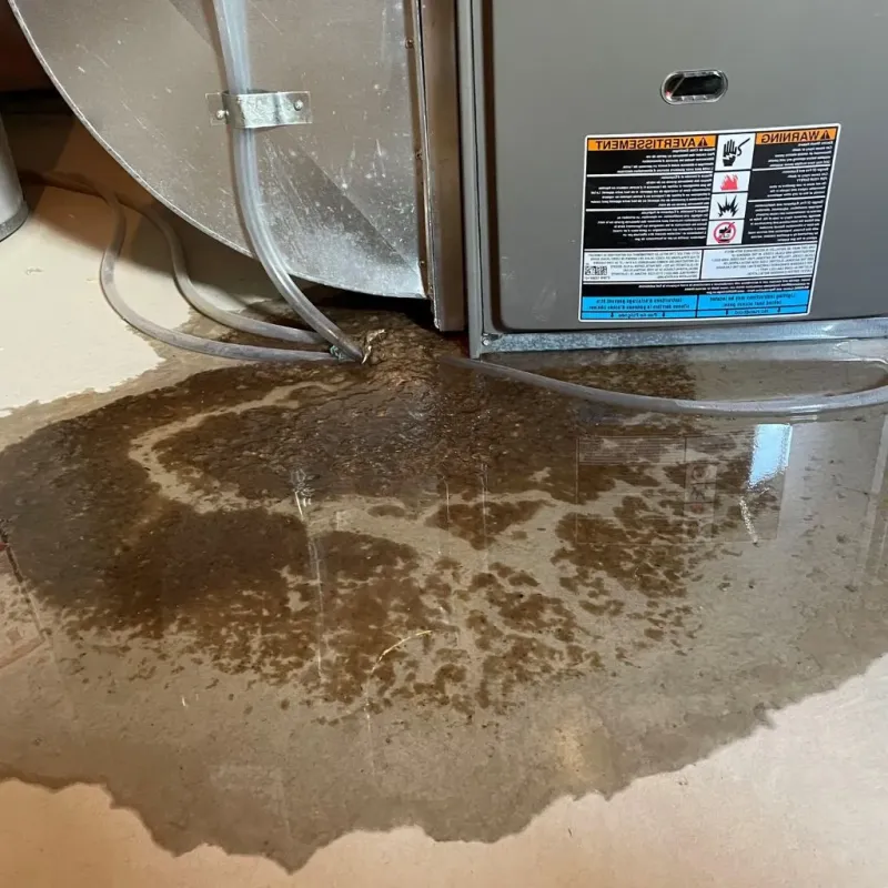 Pipe Burst and Leak Restoration in Irvington, KY